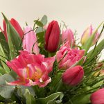 Csodás piros-rózsaszín tulipán csokor