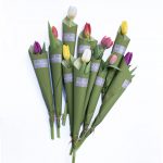 10 szál vegyesszínű tulipán, szálanként csomagolva
