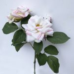 Rózsa szál - fehér, púder rózsaszín