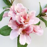 Rododendron - sötét rózsaszín