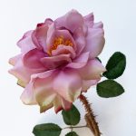 Spray rose - lavender pink