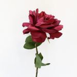 Garden Rose - Burgundy Red