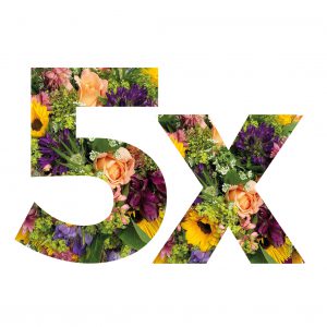 Flower Subscription for 5 bouquets