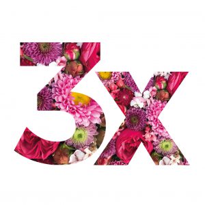 Flower Subscription for 3 bouquets