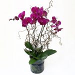dreamy pink orchid arrangement in decorative glass pot