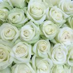 szív alakú virágdoboz fehér rózsákkal