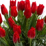 kedves ajándékcsomag piros tulipánokkal és Esteban illatgyertyával