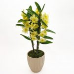 Sárga cserepes orchidea kerámia kaspóban