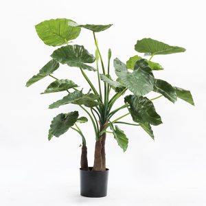 Alocasia plant - artificial
