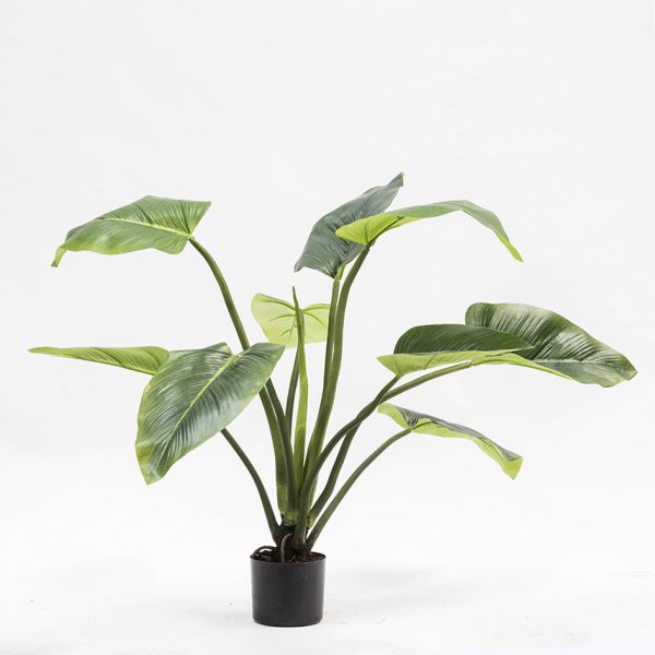 Alocasia plant short - artificial