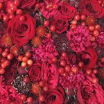 Red Arioso Flower Box