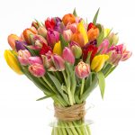 Színes tulipán csokor
