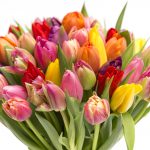 Színes tulipán csokor