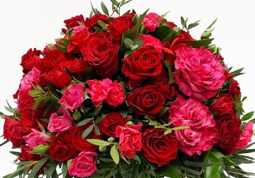 Rózsa, szerelem, valentin-nap